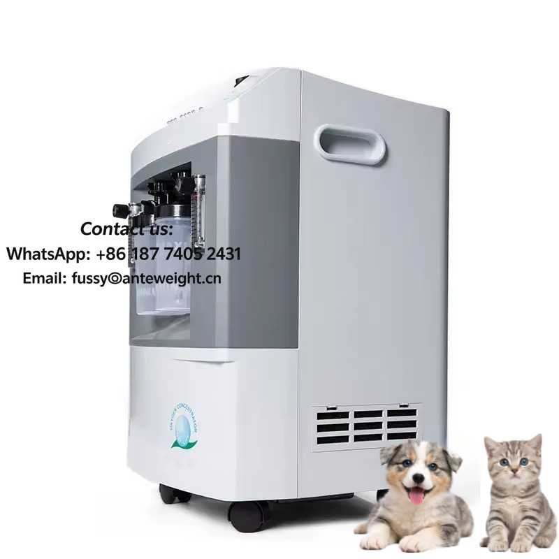 Medical Oxygen Concentrator - Concentrateur d'oxygène portatif 10L de générateur